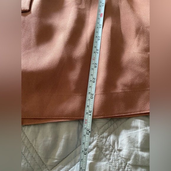 Aritzia Babaton Brightwell Dress - Picture 8 of 10